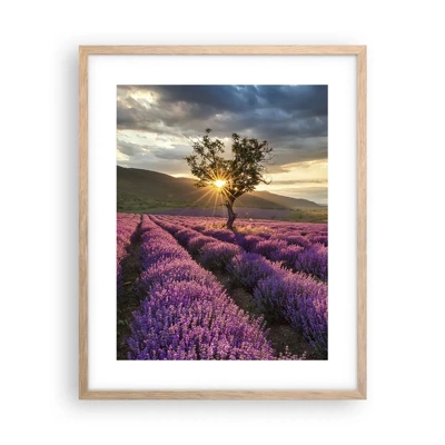 Poster in cornice rovere chiaro - Aroma di colore lilla - 40x50 cm