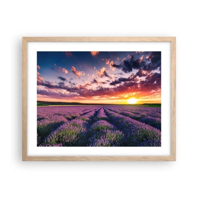 Poster in cornice rovere chiaro - Il mondo della lavanda - 50x40 cm