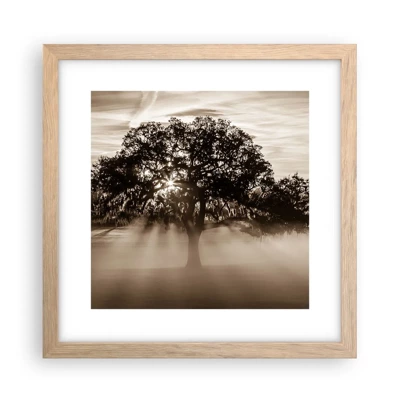 Poster in cornice rovere chiaro - L'albero delle sole buone notizie - 30x30 cm