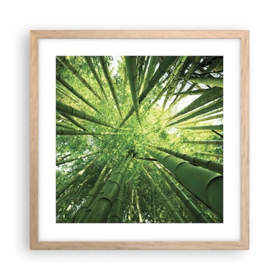 Poster in cornice rovere chiaro - Nella foresta di bambù - 40x40 cm