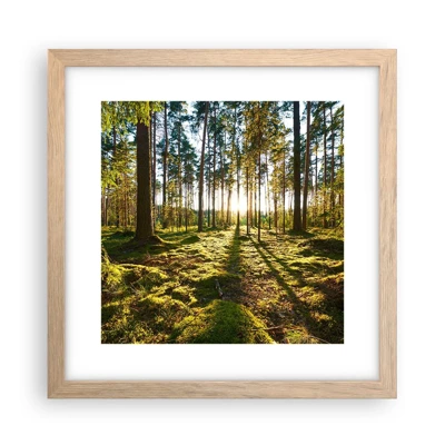 Poster in cornice rovere chiaro - …dopo sette foreste - 30x30 cm