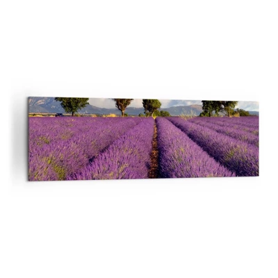 Quadro su tela - Stampe su Tela - Campi di lavanda - 160x50 cm