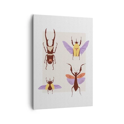 Quadro su tela - Stampe su Tela - Il mondo degli insetti - 50x70 cm