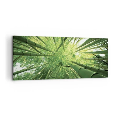Quadro su tela - Stampe su Tela - Nella foresta di bambù - 100x40 cm