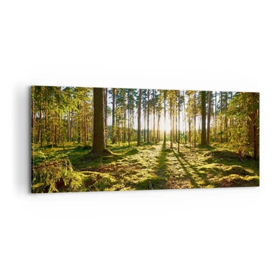 Quadro su tela - Stampe su Tela - …dopo sette foreste - 100x40 cm