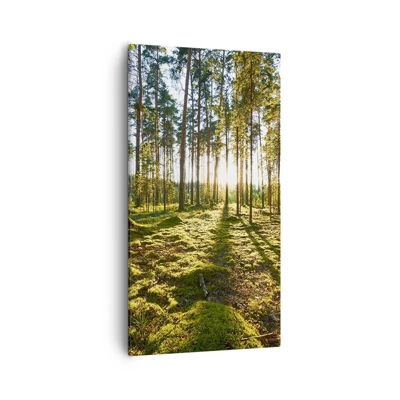 Quadro su tela - Stampe su Tela - …dopo sette foreste - 55x100 cm