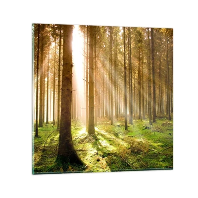 Quadro su vetro Arttor 60x60 cm - Adesso appaiono gli elfi - Foresta, Raggi Del Sole, Natura, Paesaggio, Paesaggio, Per il Salotto, Per la Camera da letto, Marrone, Verde, Orizzontali, Vetro, GAC60x60-0156