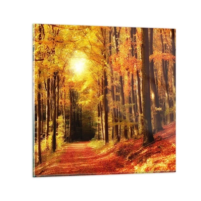 Quadro su vetro - Autunno dorato nella via nel bosco - 40x40 cm