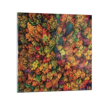 Quadro su vetro - Il bouquet degli alberi d'autunno - 40x40 cm