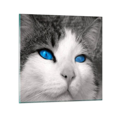 Quadro su vetro - Insoliti occhi azzurri - 60x60 cm