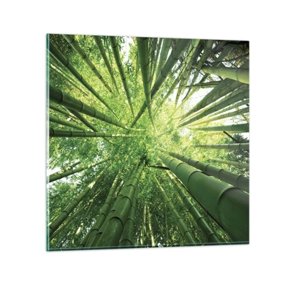 Quadro su vetro - Nella foresta di bambù - 70x70 cm