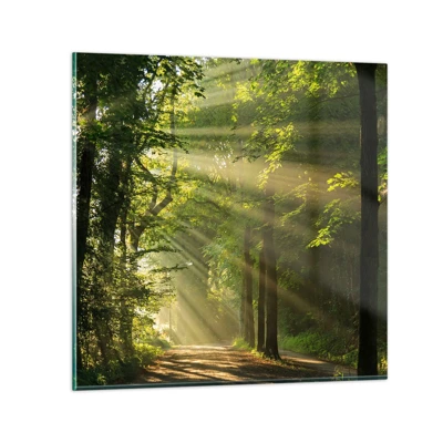 Quadro su vetro - Un attimo nel bosco - 70x70 cm