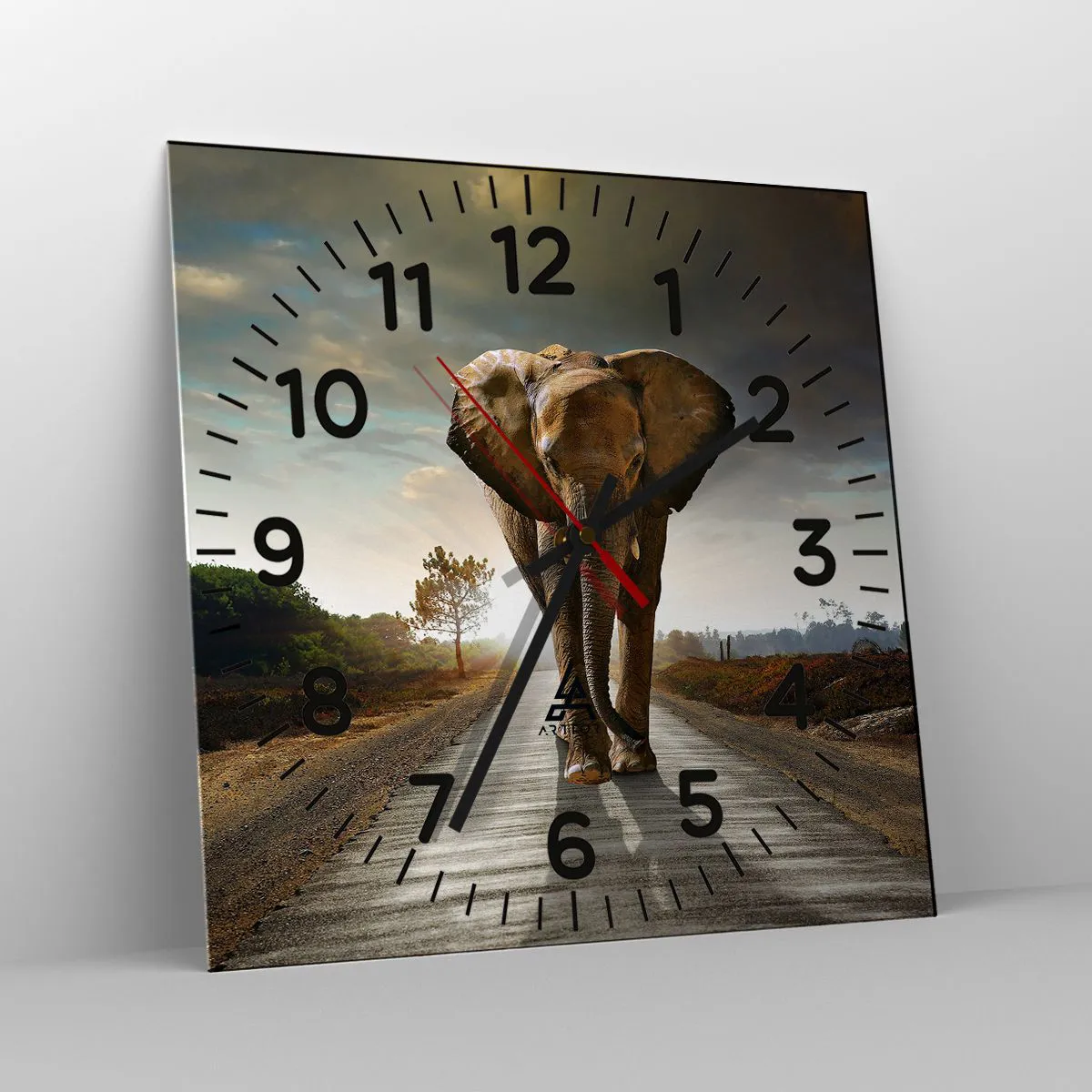 Orologio da parete, Orologio in Vetro Arttor 30x30 cm - E non nel negozio  di cristalli - Elefante, Paesaggio, Natura, Alberi, Africa, Quadrato