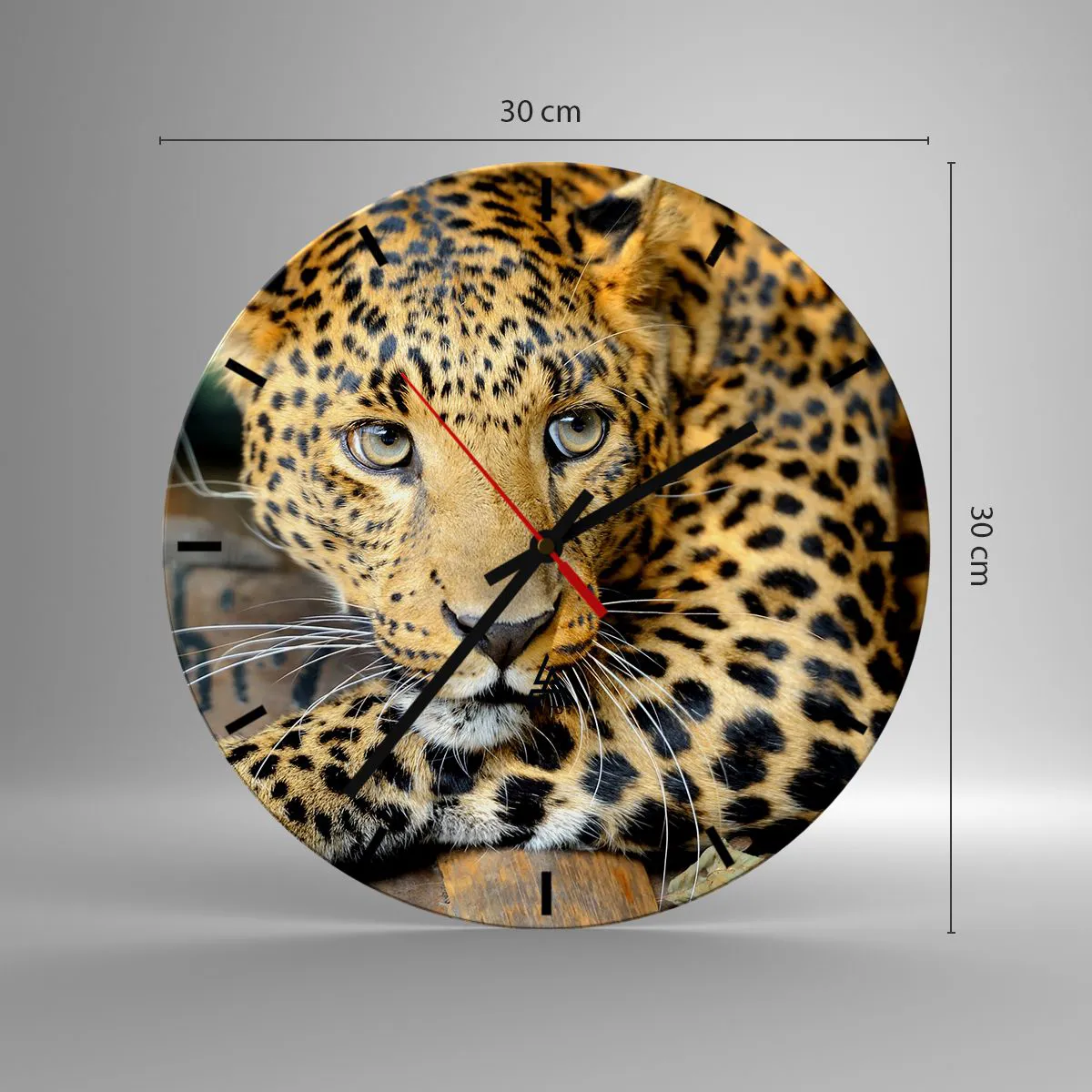Orologio da parete Arttor - Non temere, avvicinati - Quadrante con  trattini, Forma: Cerchio - 30x30 cm - Animali, Pantera, Gatto Selvatico