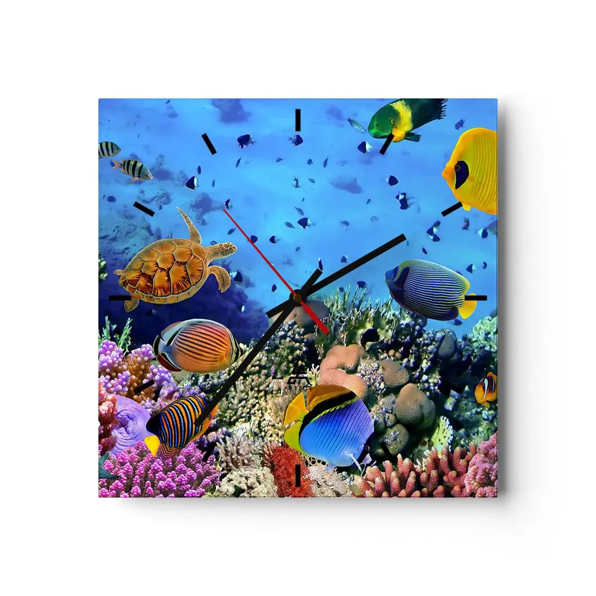 Orologio da parete Arttor - Ma cosa sappiamo della vita - Quadrante con  trattini, Forma: Quadrato - 40x40 cm - Barriera Corallina, Mondo  Sott'Acqua, Pesci