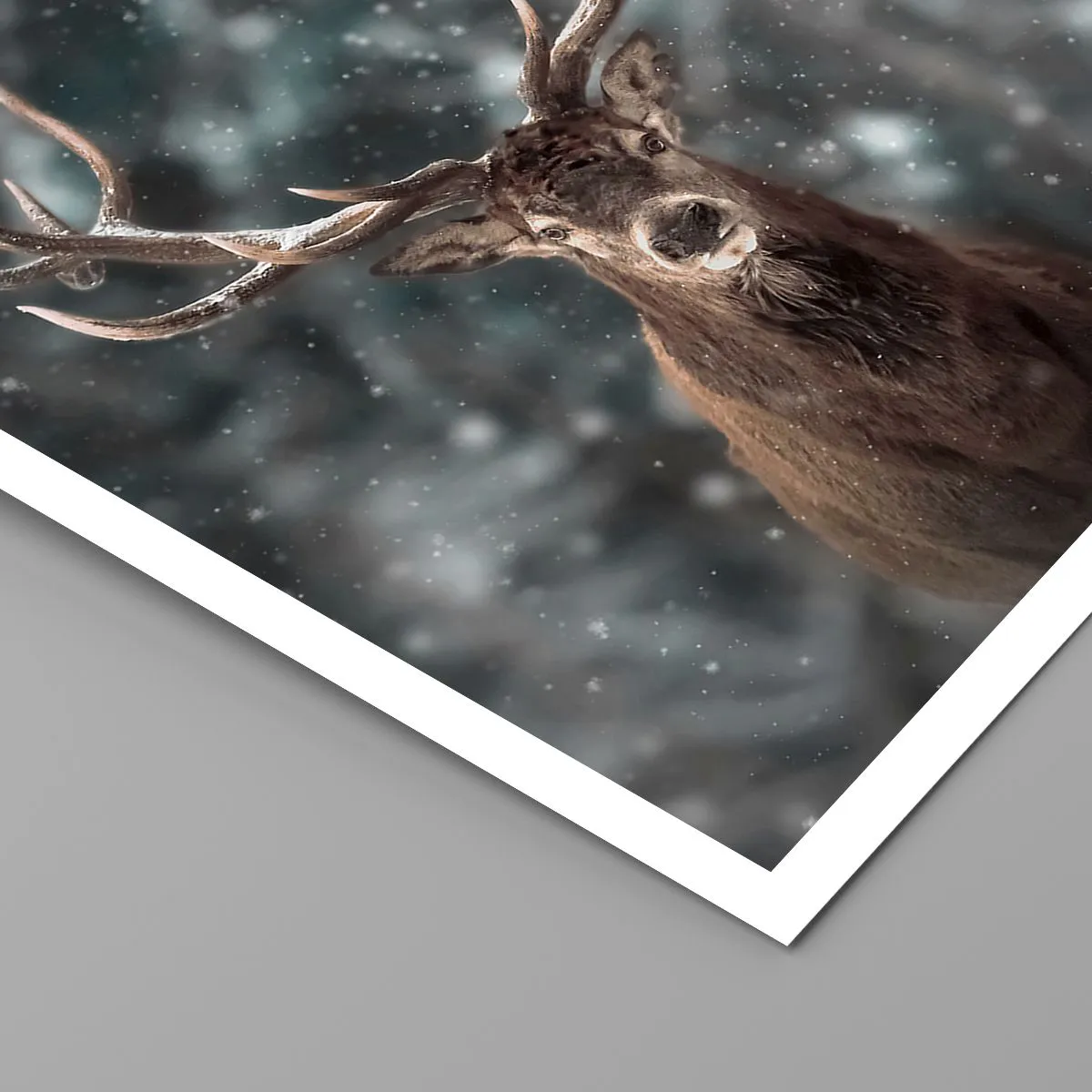 Poster Arttor 70x100 cm - Il re del bosco incoronato - Animali, Cervo,  Inverno, Natura, Paesaggio, Per il Salotto, Per la Camera da letto,  Marrone