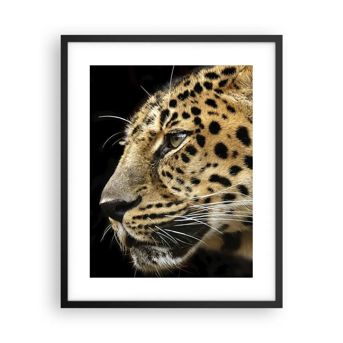 Poster in cornice nera Arttor 40x50 cm - Calmo, concentrato, pronto -  Animali, Leopardo, Africa, Gatto Selvatico, Natura, Per il Salotto, Per la