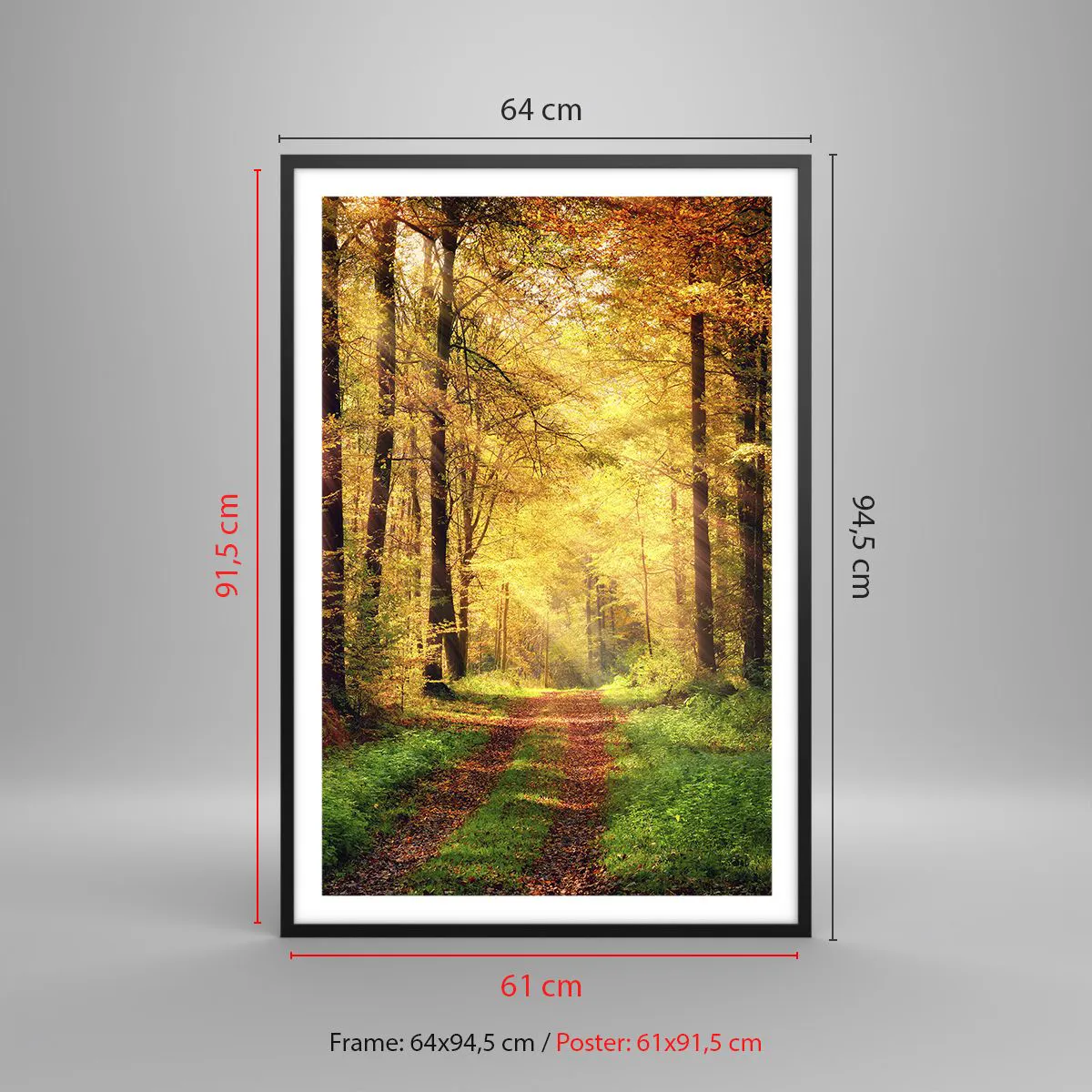 Poster in cornice nera Arttor 61x91 cm - Il silenzio d'oro del bosco -  Paesaggio, Foresta, Strada Forestale, Foglie, Natura, Per il Salotto, Per  la