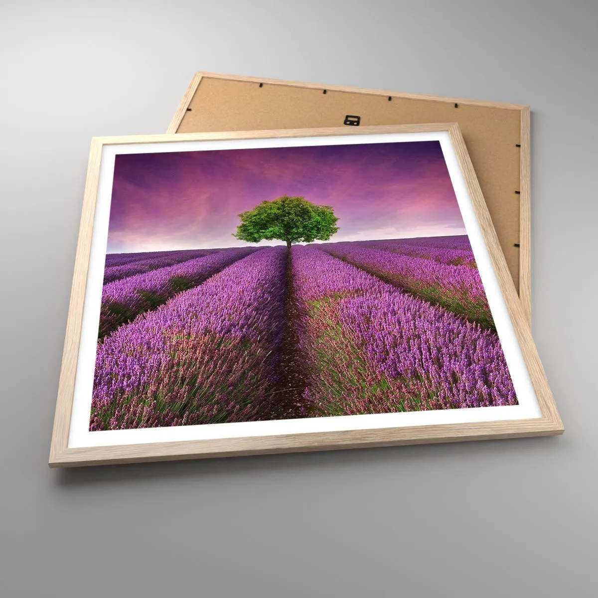 Poster in cornice rovere chiaro 60x60 cm - Sui campi di lavanda - Arttor -  Decorazioni da parete moderne e originali, per il salotto e la camera da  letto