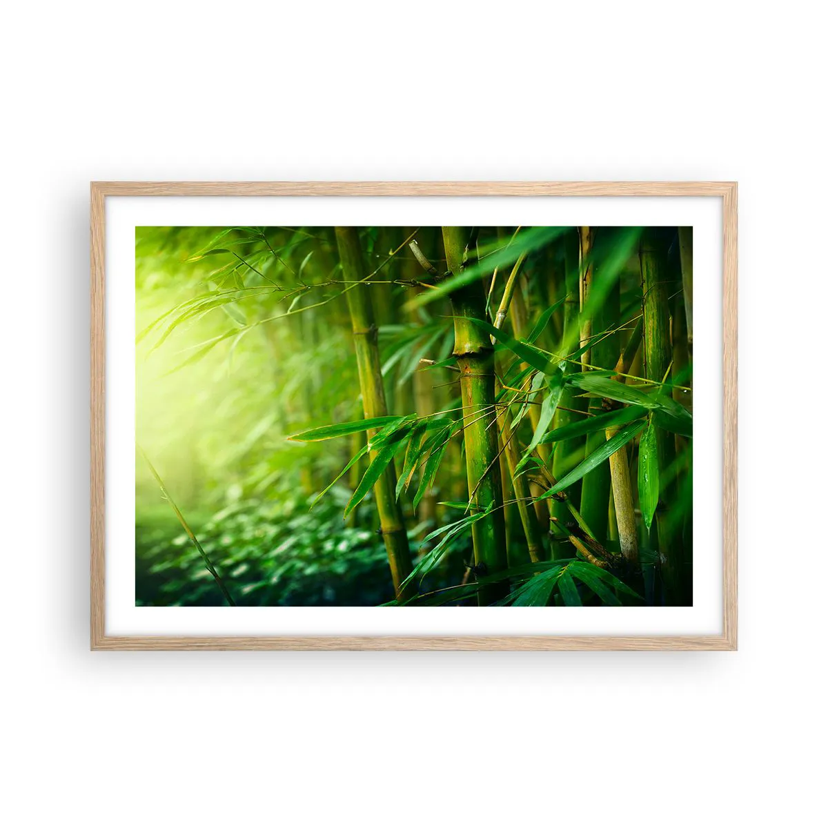 Poster in cornice rovere chiaro Arttor 70x50 cm - Conoscere il verde in sé  - Pianta, Bambù, Giungla, Cina, Terme, Per il Salotto, Per la Camera da