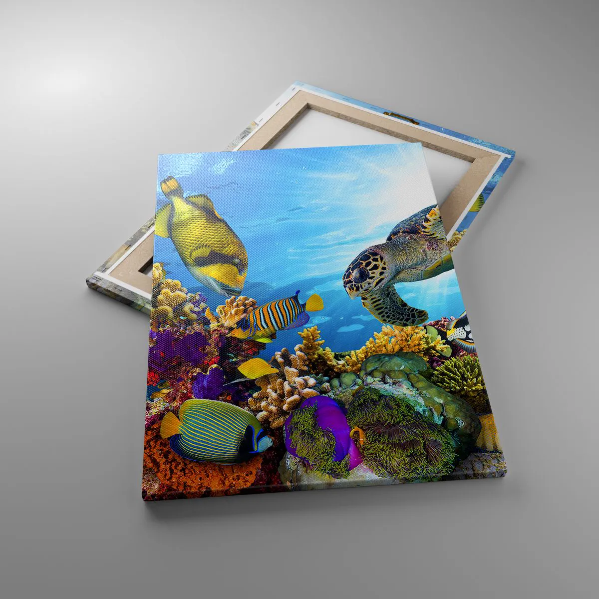 Quadro su tela, Stampe su Tela 50x70 cm - Passeggiata corallina - Arttor -  Negozio con decorazioni da parete