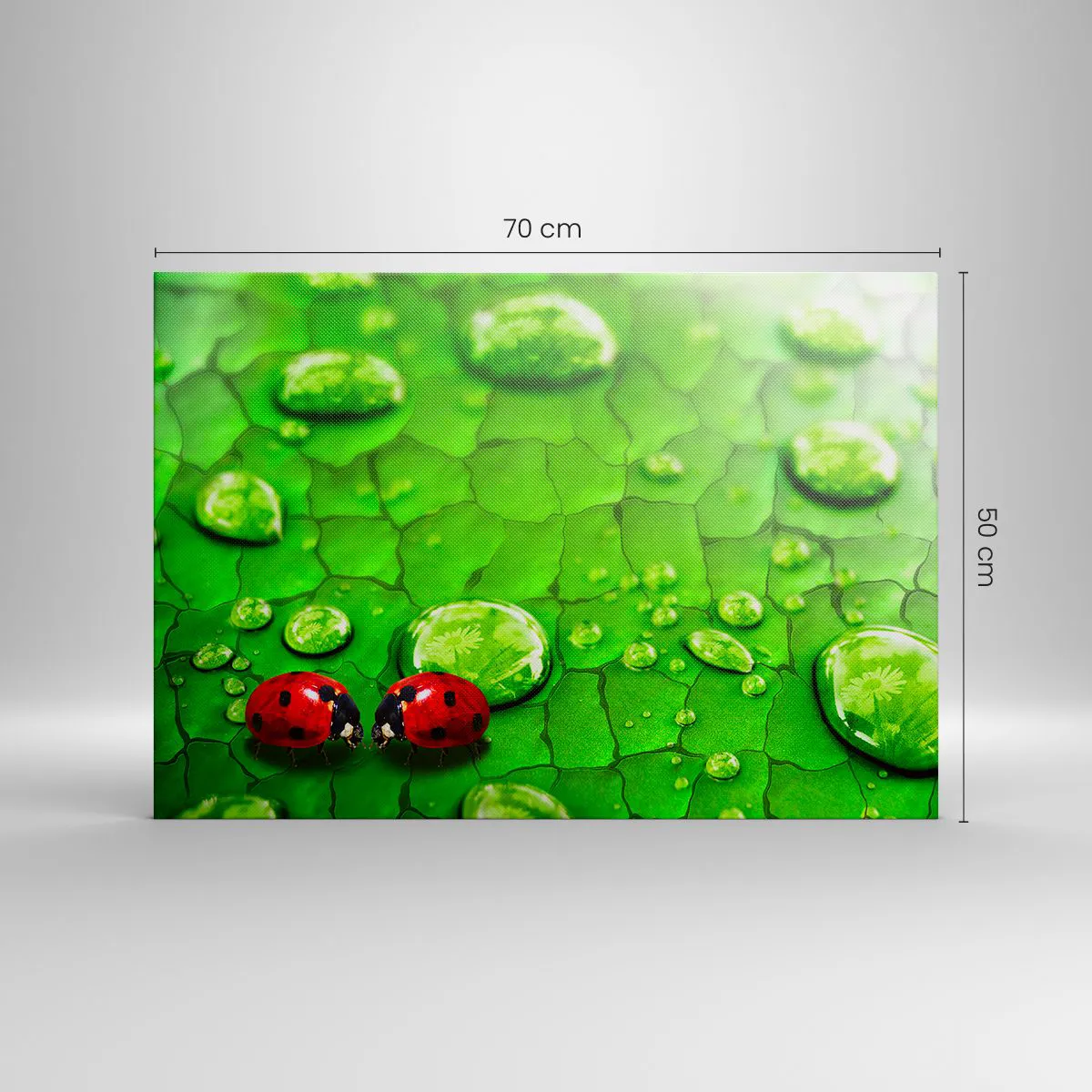 Quadro su tela 70x50 cm - Studio della natura dell'acqua - Arttor - Negozio  con decorazioni da parete