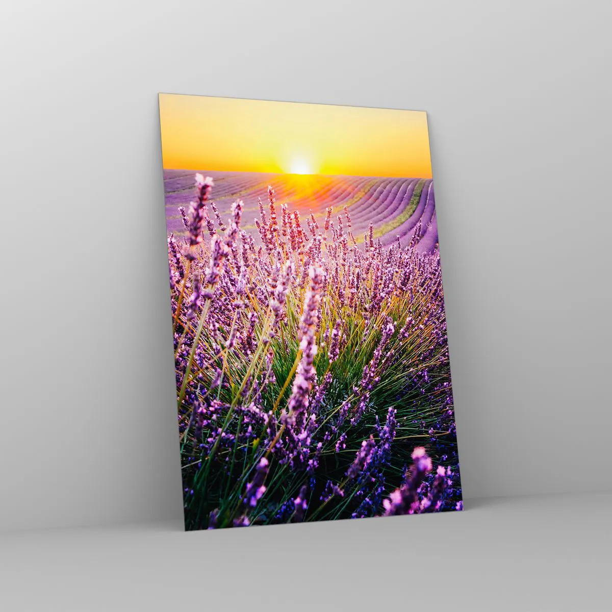 Quadro su vetro Arttor 50x70 cm - Sui campi di lavanda - Paesaggio, Campo  Di Lavanda, Natura, Il Tramonto, Albero, Per il Salotto, Per la Camera da