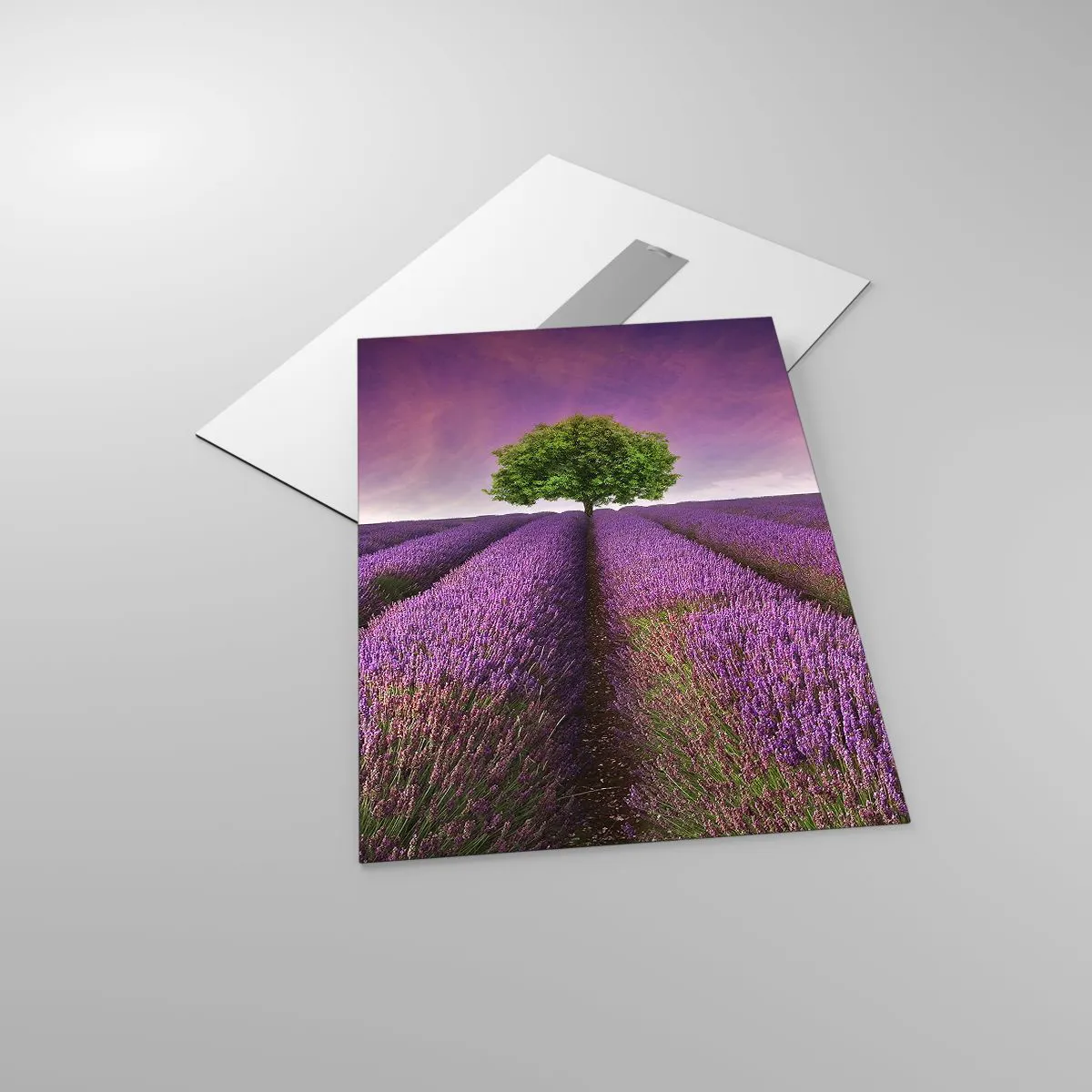 Quadro su vetro Arttor 50x70 cm - Sui campi di lavanda - Paesaggio, Campo  Di Lavanda, Natura, Il Tramonto, Albero, Per il Salotto, Per la Camera da