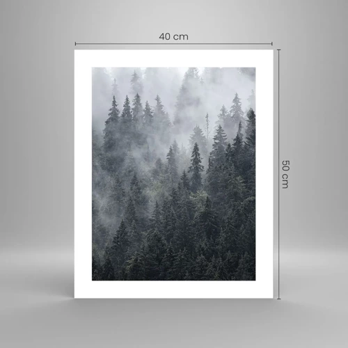 Poster - Alba nel bosco - 40x50 cm