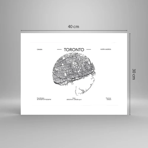 Poster - Anatomia di Toronto - 40x30 cm