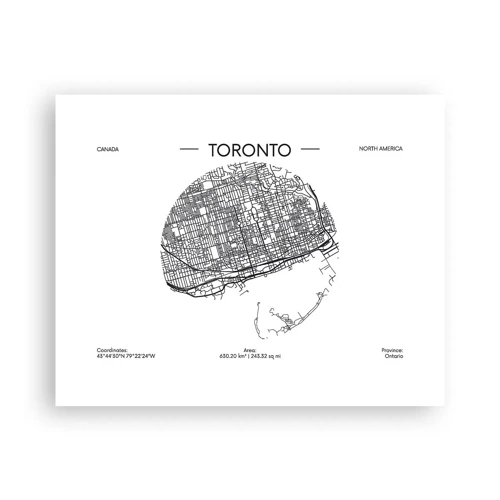 Poster - Anatomia di Toronto - 50x40 cm