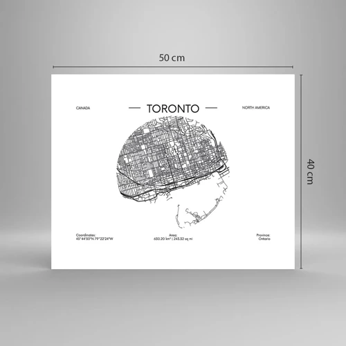 Poster - Anatomia di Toronto - 50x40 cm