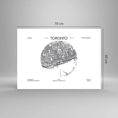 Poster - Anatomia di Toronto - 70x50 cm