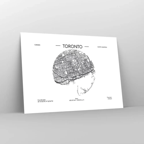 Poster - Anatomia di Toronto - 70x50 cm