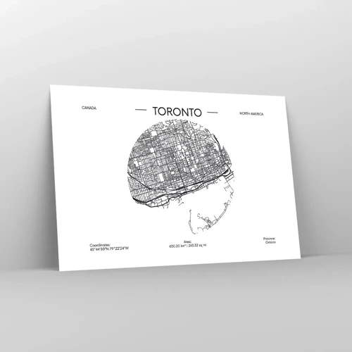 Poster - Anatomia di Toronto - 91x61 cm