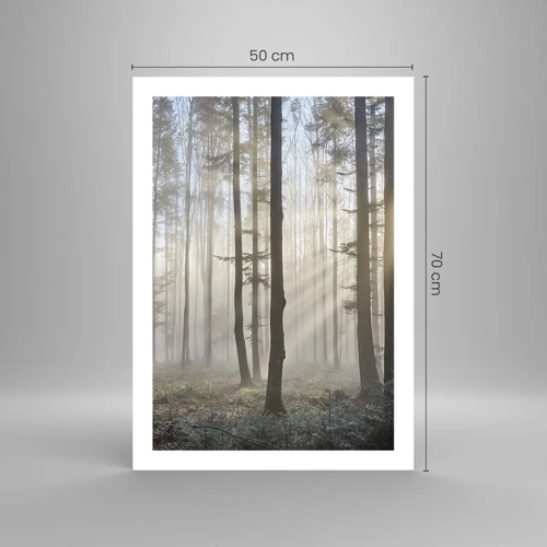 Poster - Anche la nebbia si è svegliata - 50x70 cm