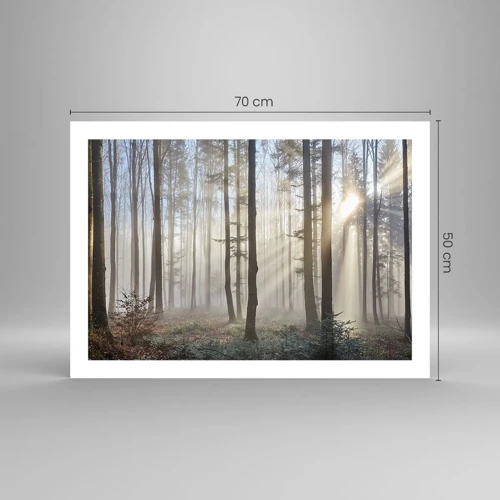 Poster - Anche la nebbia si è svegliata - 70x50 cm