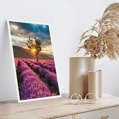 Poster - Aroma di colore lilla - 70x100 cm