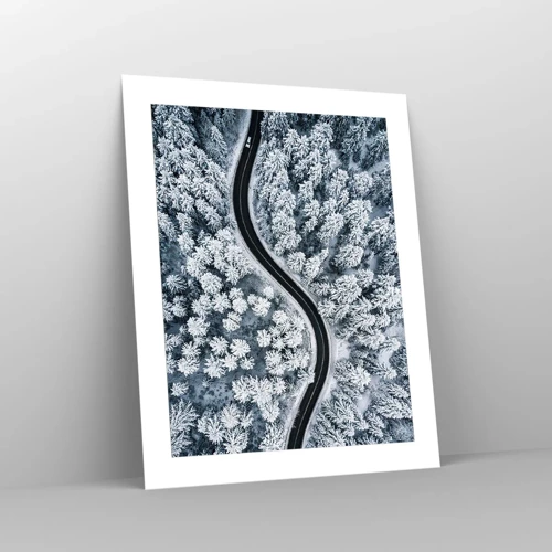 Poster - Attraverso il bosco invernale - 40x50 cm
