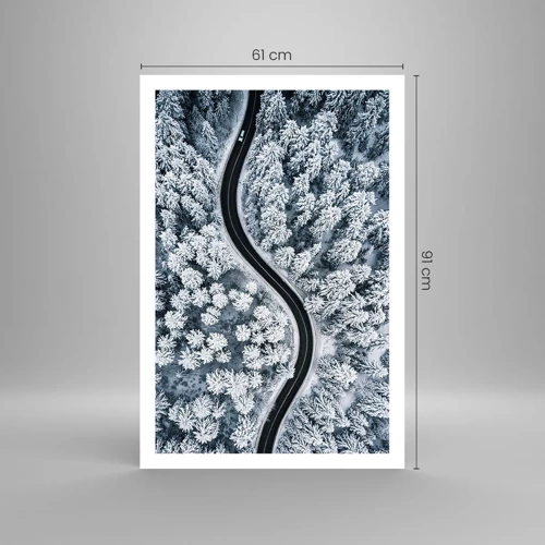 Poster - Attraverso il bosco invernale - 61x91 cm