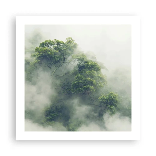 Poster - Avvolti dalla nebbia - 50x50 cm