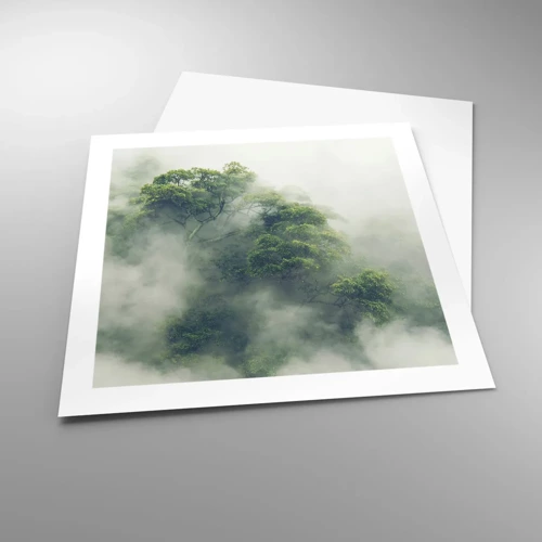 Poster - Avvolti dalla nebbia - 50x50 cm