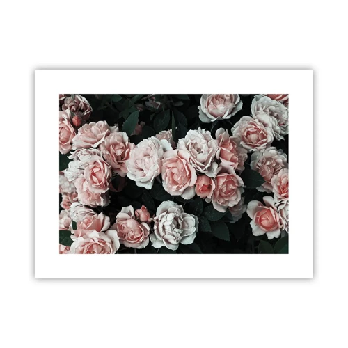 Poster - Composizione di rose - 40x30 cm