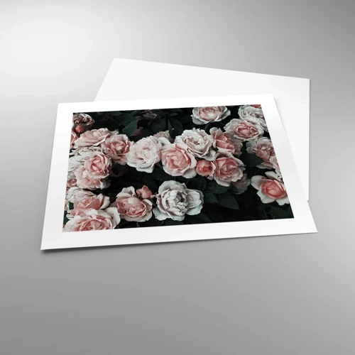 Poster - Composizione di rose - 50x40 cm