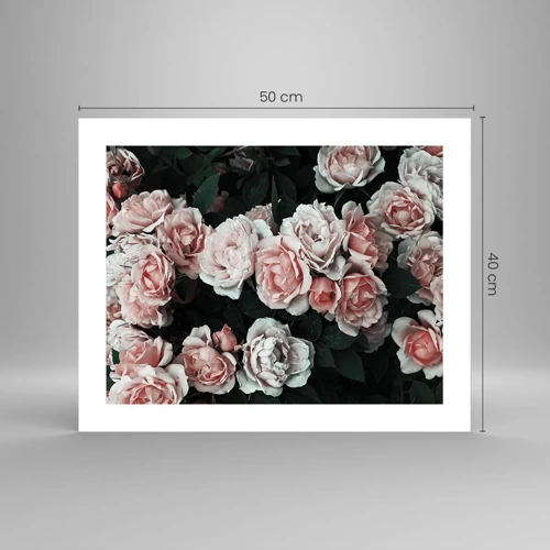 Poster - Composizione di rose - 50x40 cm