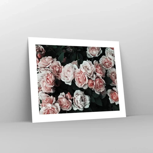 Poster - Composizione di rose - 50x40 cm