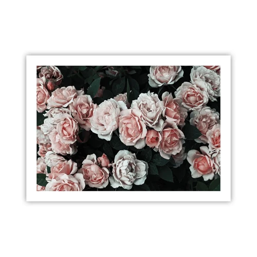 Poster - Composizione di rose - 70x50 cm