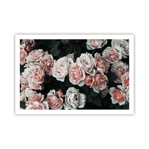 Poster - Composizione di rose - 91x61 cm