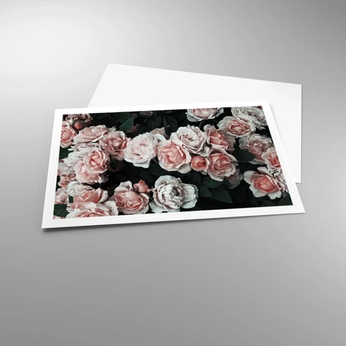 Poster - Composizione di rose - 91x61 cm