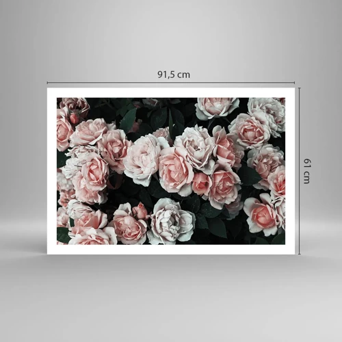 Poster - Composizione di rose - 91x61 cm